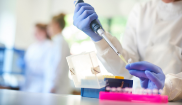 iPS細胞の分化誘導に最適な低分子化合物