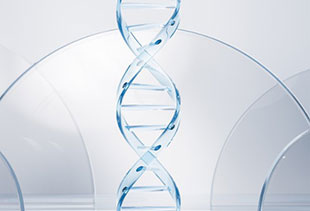 DNA断片(PCR産物)の精製キット