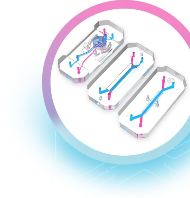 Organ-Chip Consumables