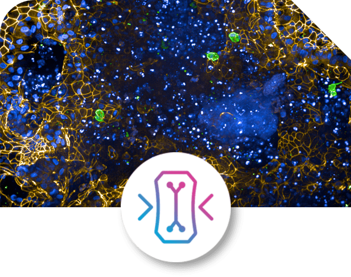 Chip-S1® Stretchable Chip