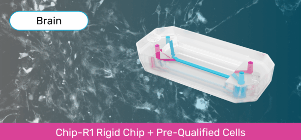 Brain-Chip R1 BioKit