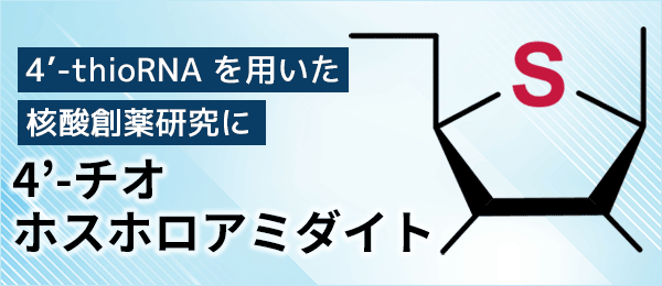 修飾核酸 4'-チオホスホロアミダイト