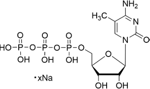 5-Me-CTP