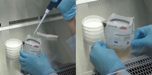 抗生物質の添加