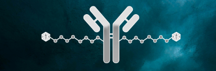 Antibody Drug Conjugates (ADC) , Oncology API