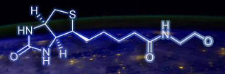 Biotinylation reagents