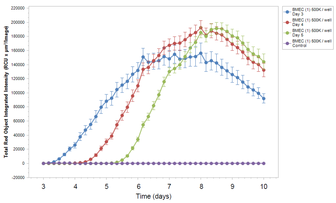 トランスフェリン受容体依存性トランスサイトーシス (B)