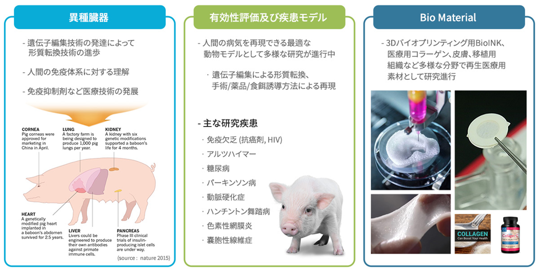 Apuresのミニ豚micropig由来研究用皮膚 生体試料 受託サービス 試薬 富士フイルム和光純薬