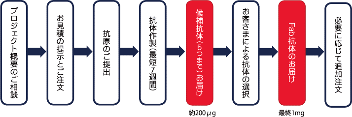 サービスの流れ