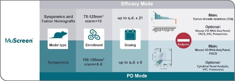 6と12Syngeneicモデルスクリーニングプラットフォーム薬効実験の設計