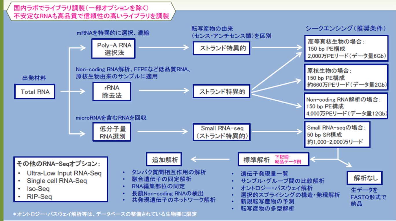 Genewizの次世代シーケンス受託サービス 受託サービス 製品情報 試薬 富士フイルム和光純薬