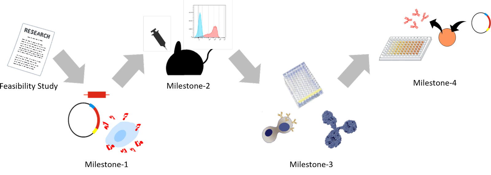 サービスの流れ