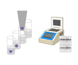図：1-cell PCR