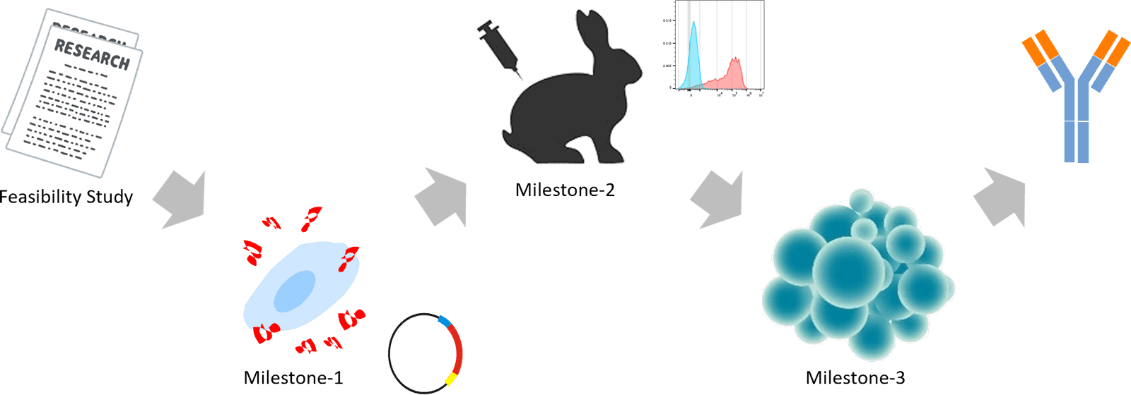 ウサギモノクローナル抗体の作製技術