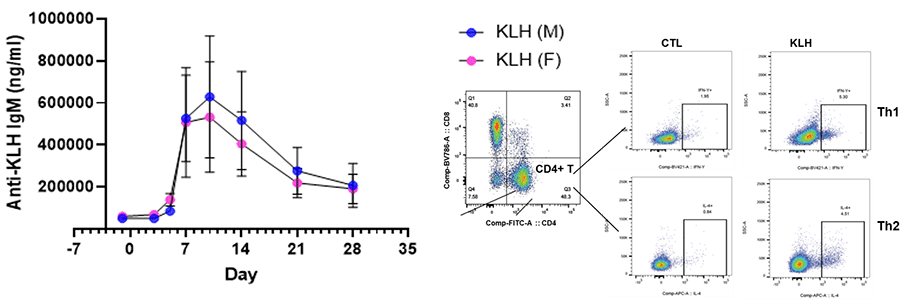 免疫原性および抑制のためのT-Cell-Dependent Antibody Response（TDAR）アッセイ
