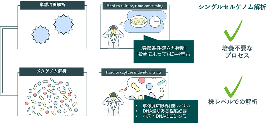 それぞれの欠点を解決するシングルセルソリューション
