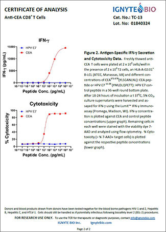 例：Anti-CEA CD8+ T Cell