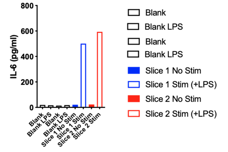 図. 1 μg/ml LPS 刺激に対する IL-6 の検出結果