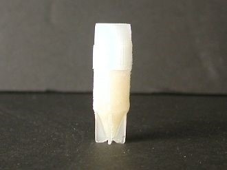 例：ヒト腱細胞