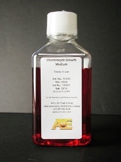 初代培養細胞用のメーカー推奨培地