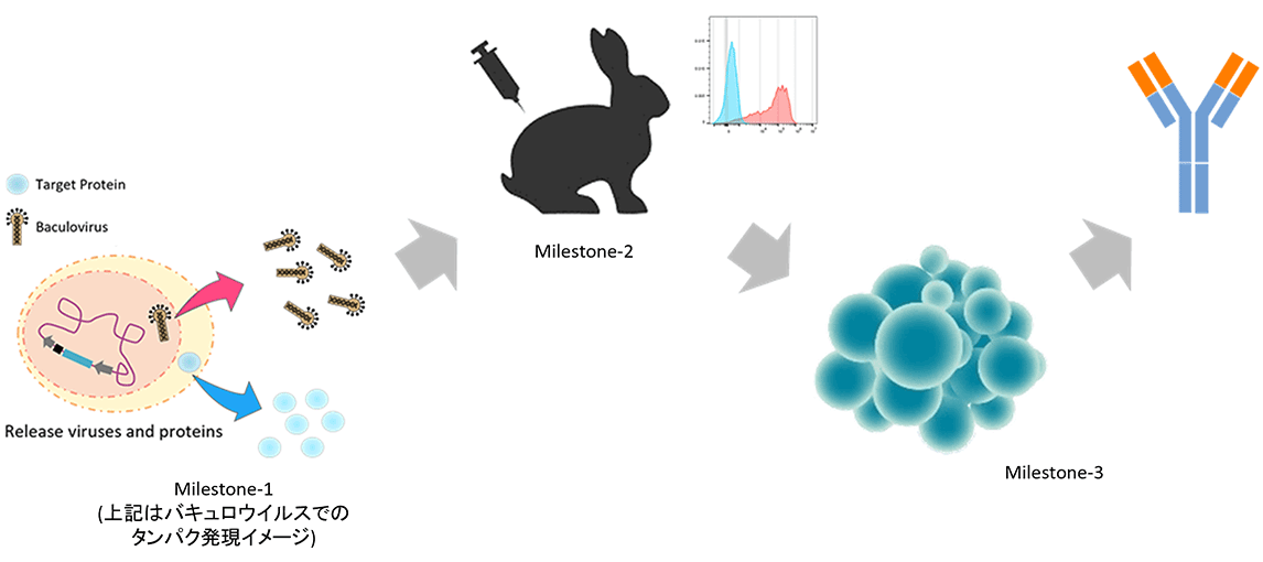 サービスの流れ