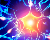 【AnaBios社】ヒト後根神経節(DRG)初代細胞で解析！疼痛解析受託サービス