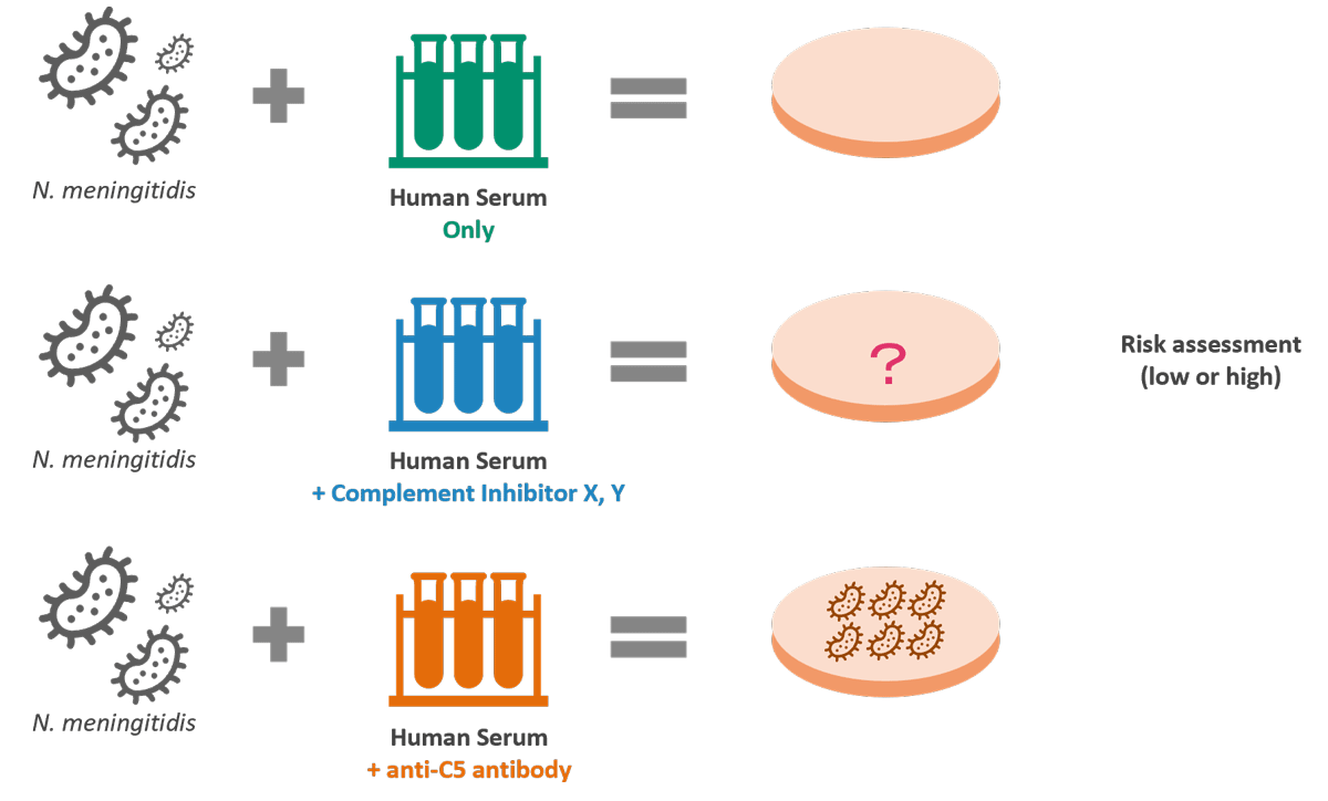 補体阻害剤による髄膜炎菌の感染リスク評価