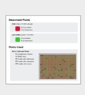 レポートの自動生成