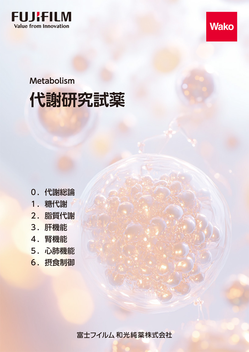 カタログコンテンツイメージ