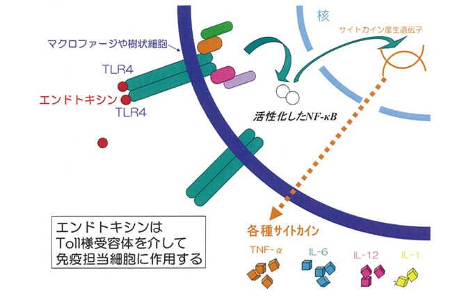 予想外の体重減少または増加を引き起こす可能性のあるものは他にありますか?