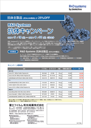 表紙イメージ