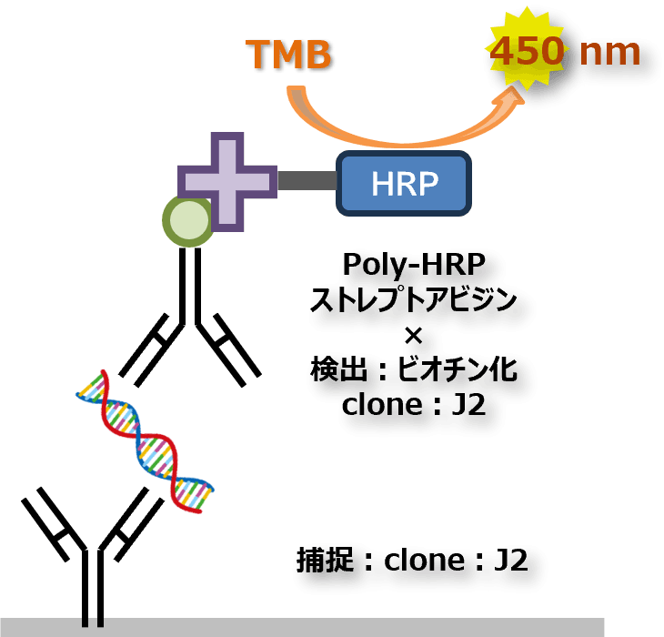 測定原理