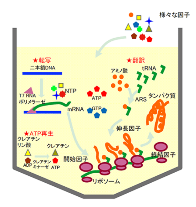 「無細胞くん」とは