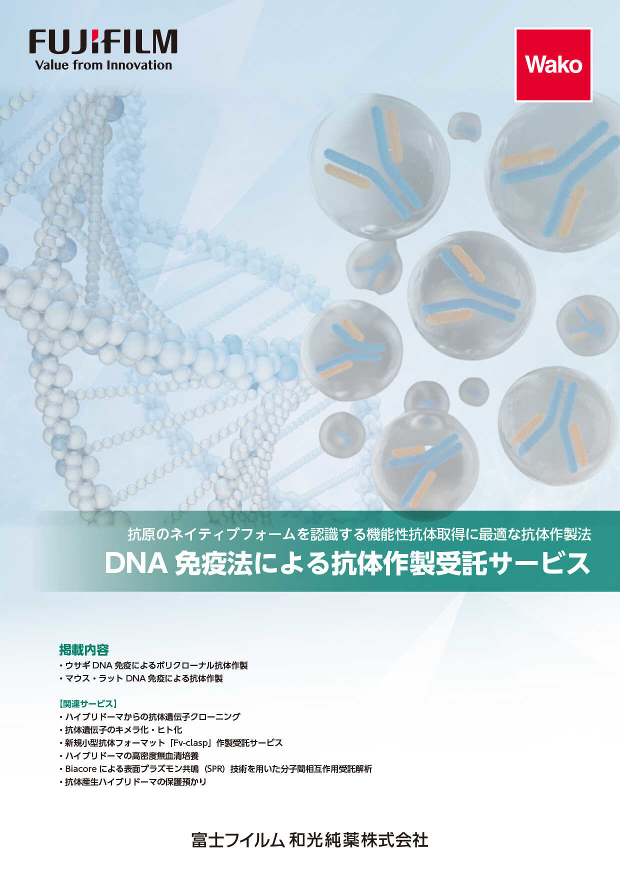 DNA免疫法による抗体作製受託サービスカタログ表紙イメージ