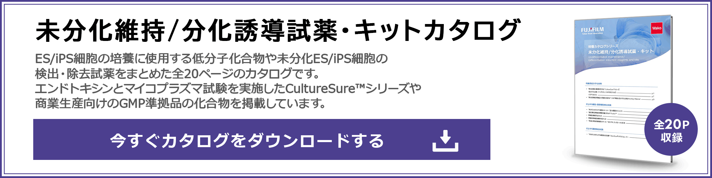 未分化維持/分化誘導試薬・キットカタログ