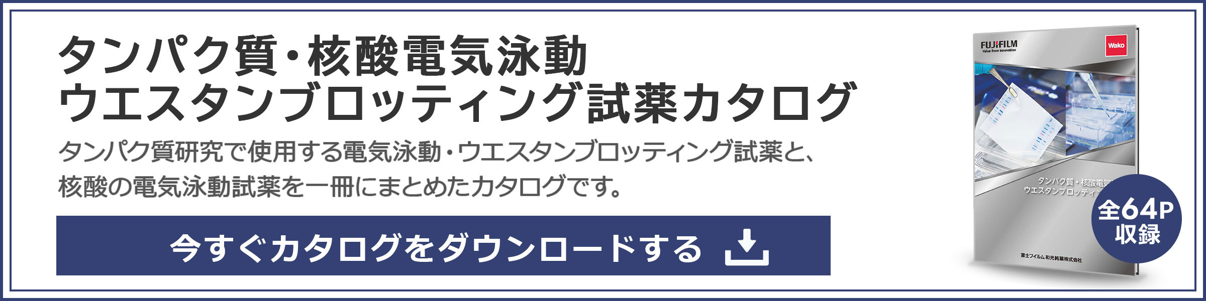 タンパク質・核酸電気泳動ウエスタン試薬カタログ ダウンロード申し込み