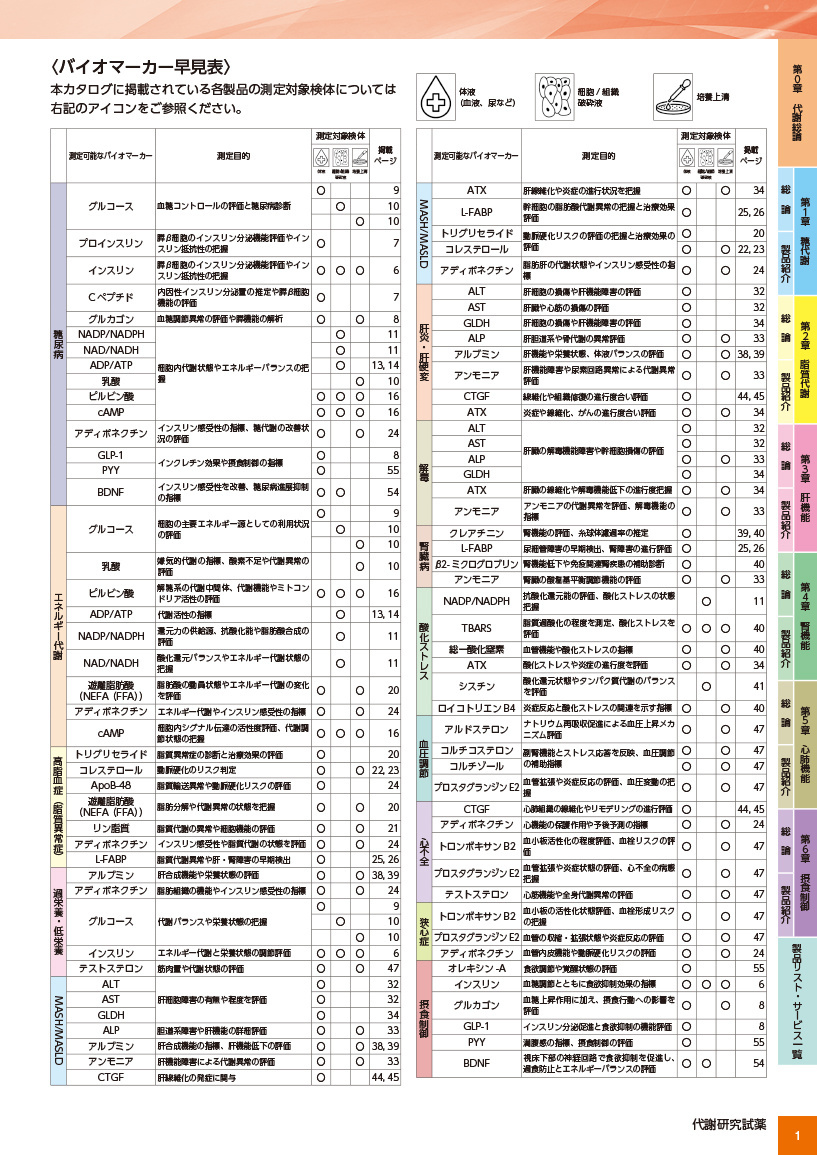 カタログコンテンツイメージ