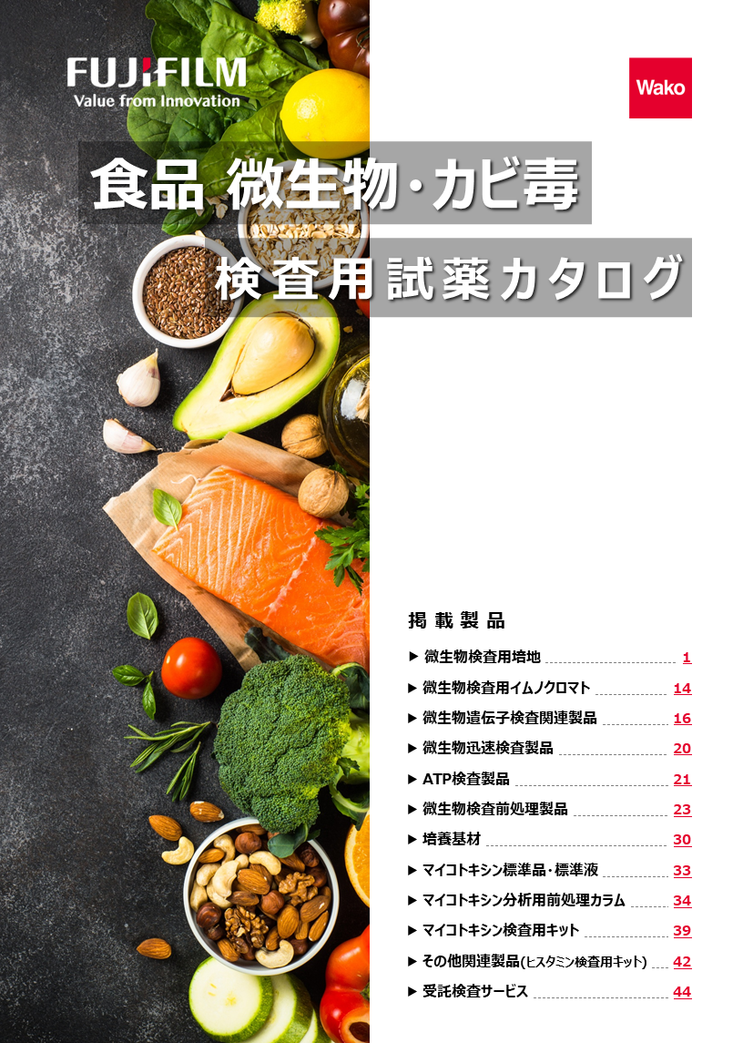 表紙イメージ