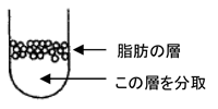 図　脂肪層とホモジネート液