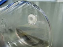 錠剤が残っている状態