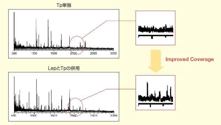 図 Tp単独とTpとLepを併用した場合の質量分析スペクトル