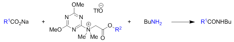 基質のアルキル鎖長と反応速度の相関