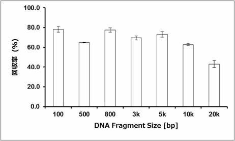 表：DNA回収率
