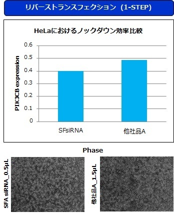 HeLa細胞における性能比較：1-STEP法