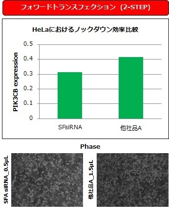 HeLa細胞における性能比較：2-STEP法