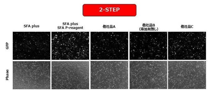 HeLaにおけるmRNAトランスフェクションの性能比較：2-STEP法