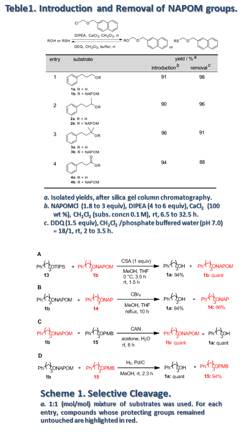 Table1. Introduction and Removal of NAPOM groups., Scheme1. Selective Cleavage.