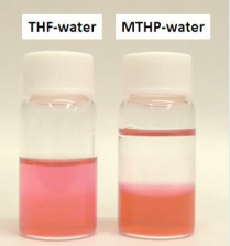 THF-water と MTHP-water の水溶状外観
