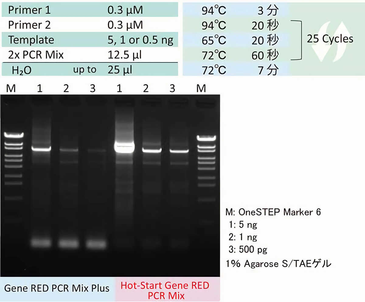 図：非特異増幅が生じやすいプライマーを用いたPCR