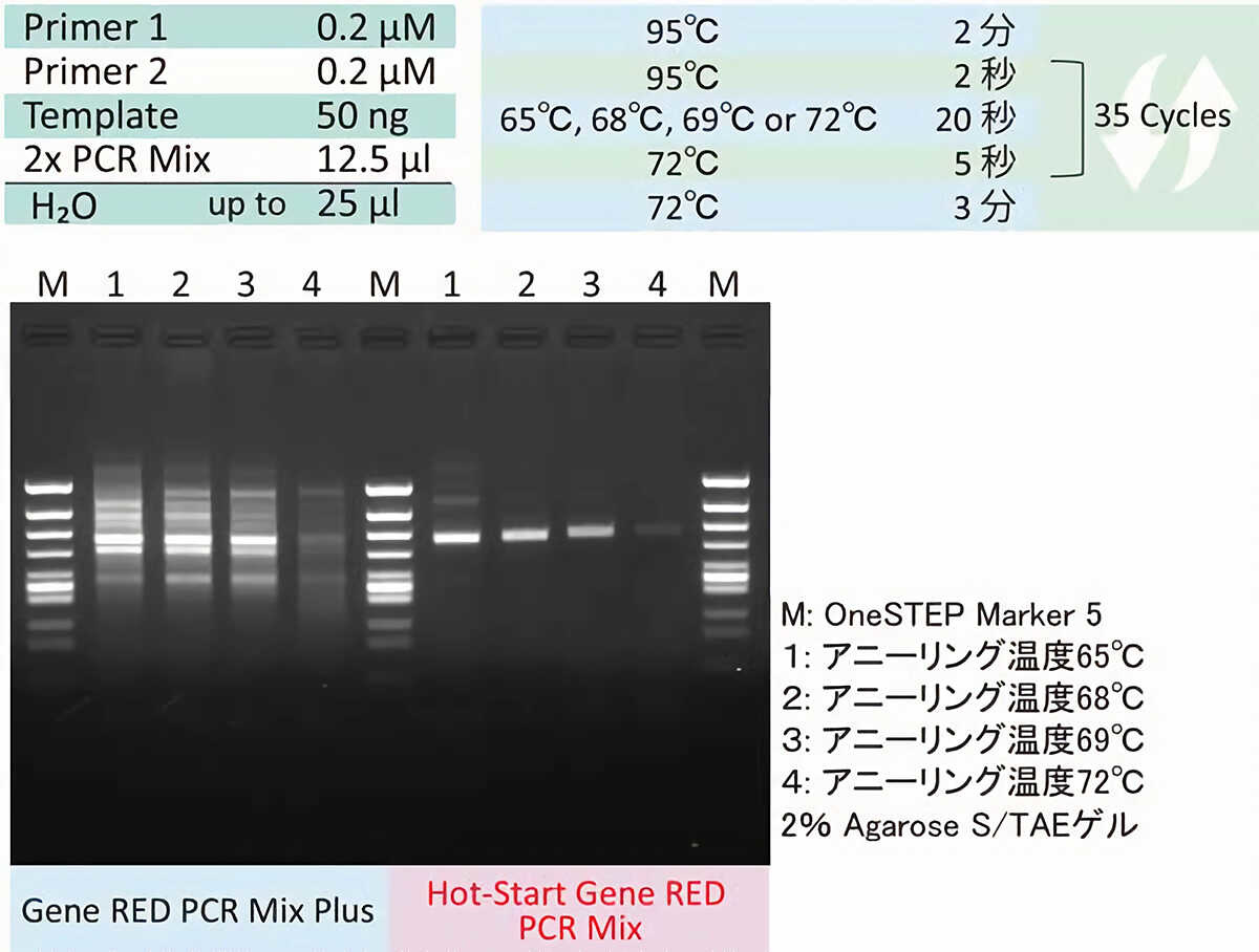 図：非特異増幅が生じやすいプライマーを用いたPCR